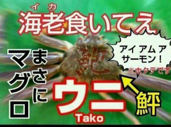 雑談コメントと内容に全く関係無い画像を貼ってカオスにするトピ