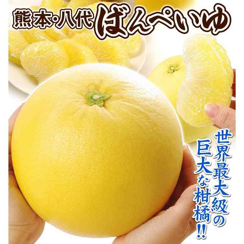 雑談コメントと内容に全く関係無い画像を貼ってカオスにするトピ