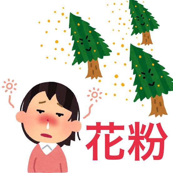 花粉症について語りたい