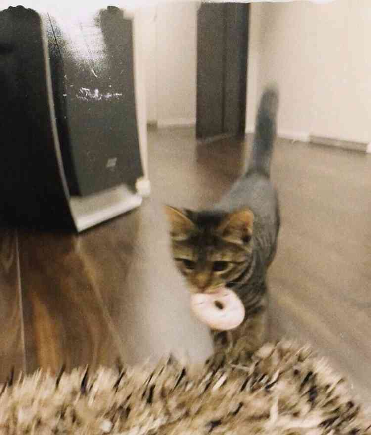 興醒めしてしまうこと