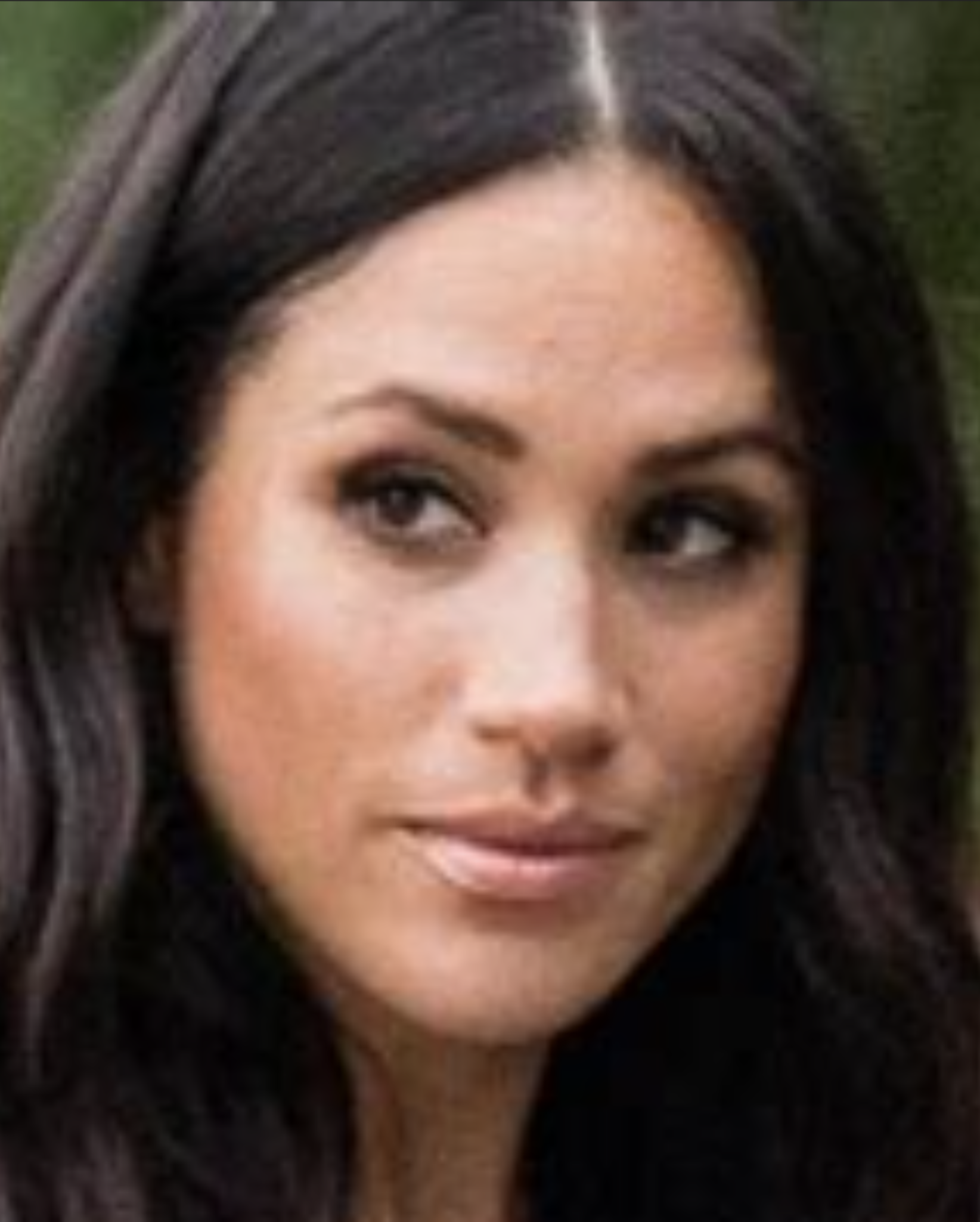 ヘンリー王子とメーガン妃、公的役職すべてから「引退」か