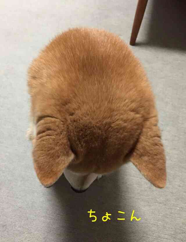 【画像】デートしてる気分になるトピ【妄想】