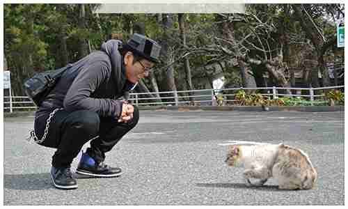 素敵なおじいちゃんが見たい