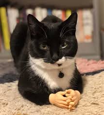 人の真似をして恥ずかしい思いをしたこと