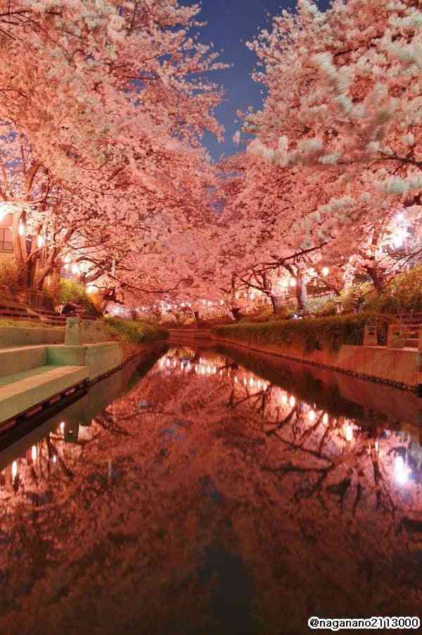 春だよ！語尾に「🌸」を付けて話そうよ🌸