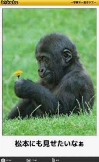 ダウンタウンあるある