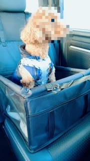 ペット用品について相談したい!