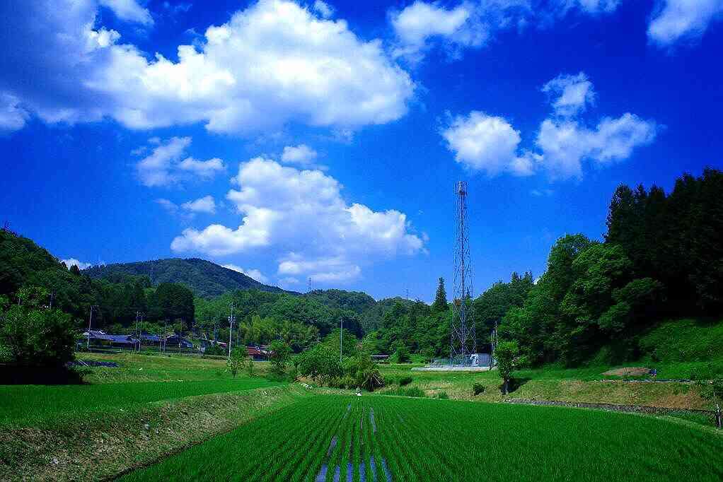 どこか切ない夏の画像を貼っていくトピpart5