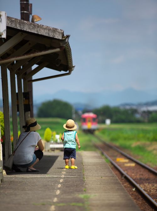 どこか切ない夏の画像を貼っていくトピpart5
