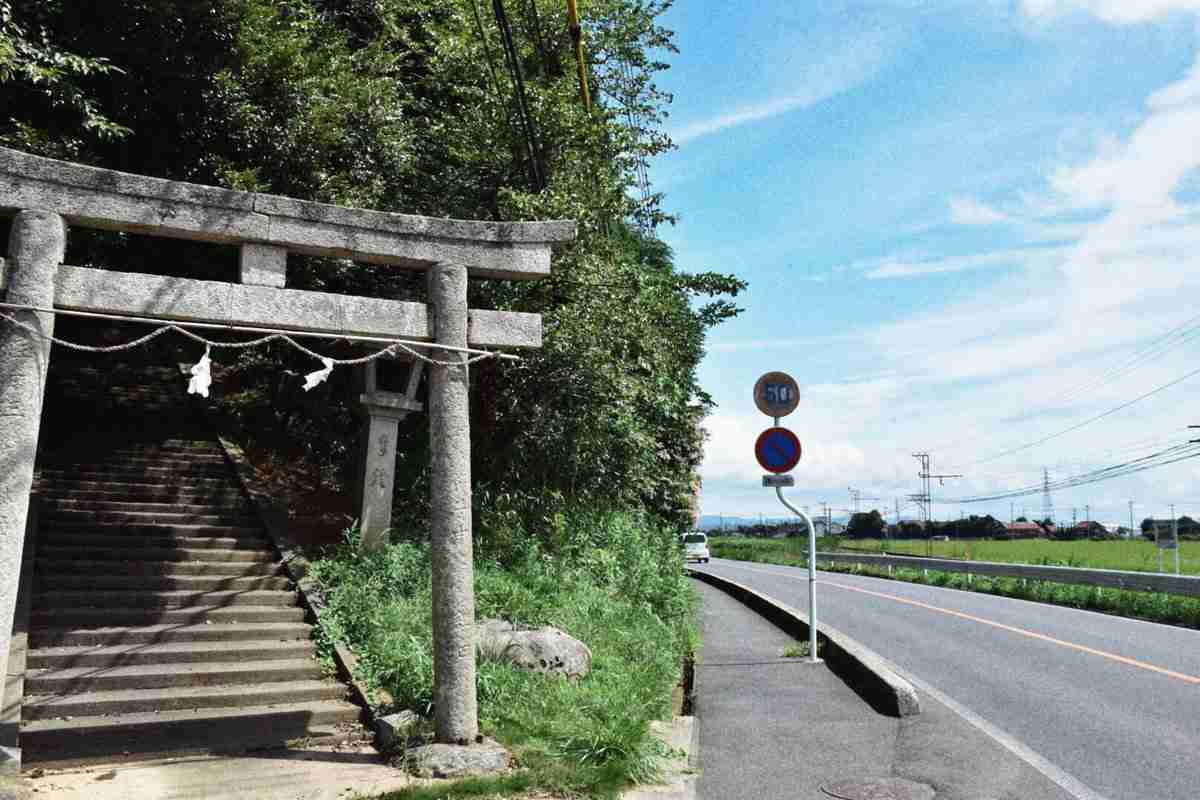 どこか切ない夏の画像を貼っていくトピpart5