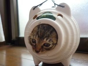 どこか切ない夏の画像を貼っていくトピpart5