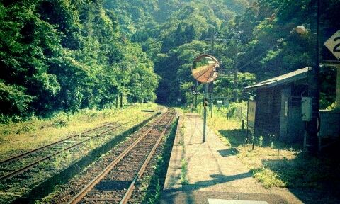 どこか切ない夏の画像を貼っていくトピpart5