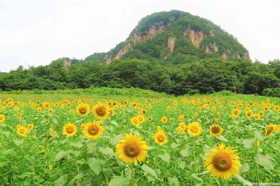 どこか切ない夏の画像を貼っていくトピpart5