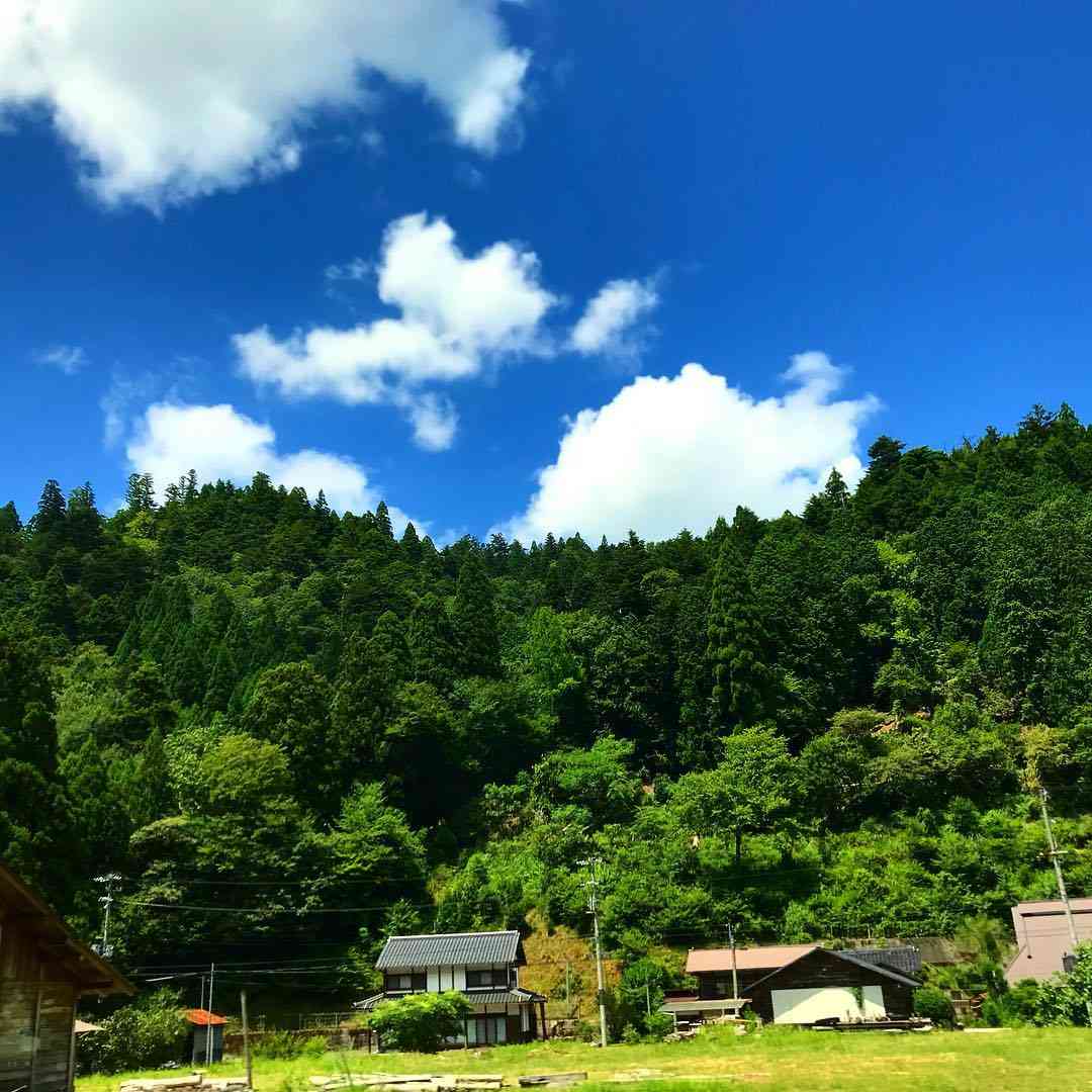 どこか切ない夏の画像を貼っていくトピpart5