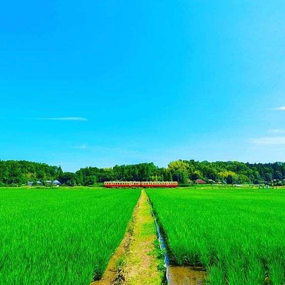 どこか切ない夏の画像を貼っていくトピpart5