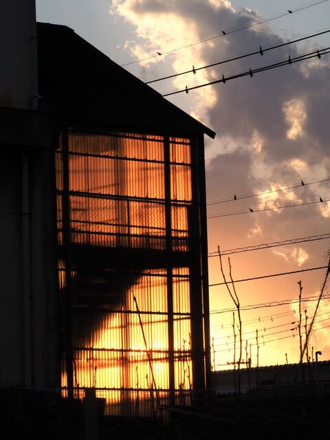 どこか切ない夏の画像を貼っていくトピpart5