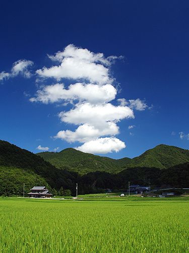 どこか切ない夏の画像を貼っていくトピpart5