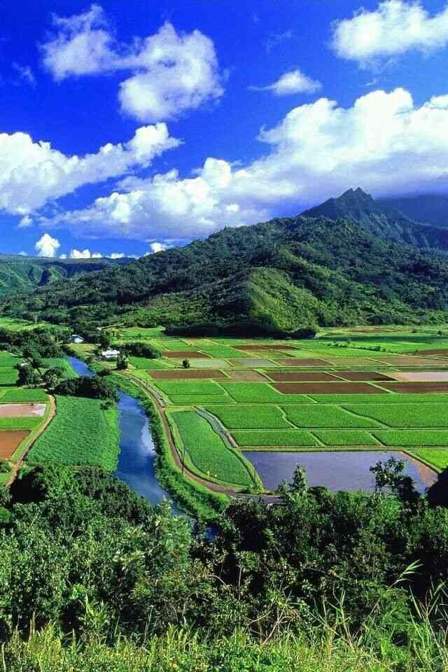 どこか切ない夏の画像を貼っていくトピpart5