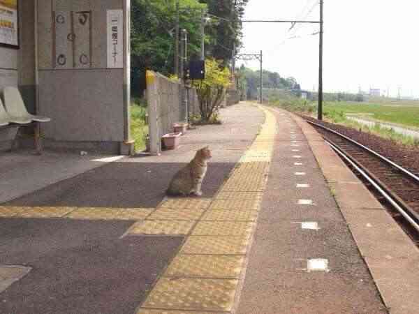 どこか切ない夏の画像を貼っていくトピpart5