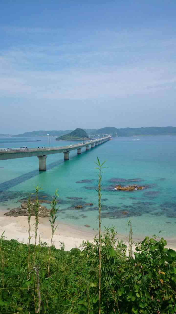 どこか切ない夏の画像を貼っていくトピpart5