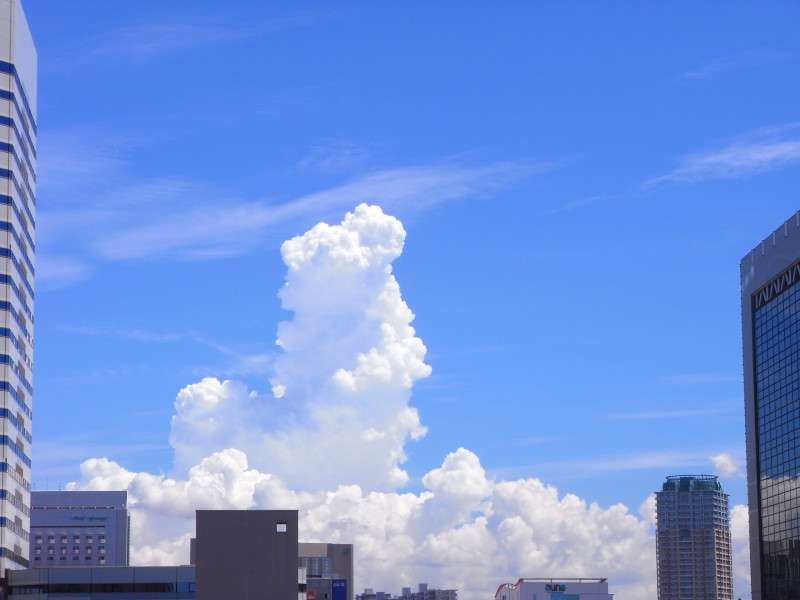 どこか切ない夏の画像を貼っていくトピpart5