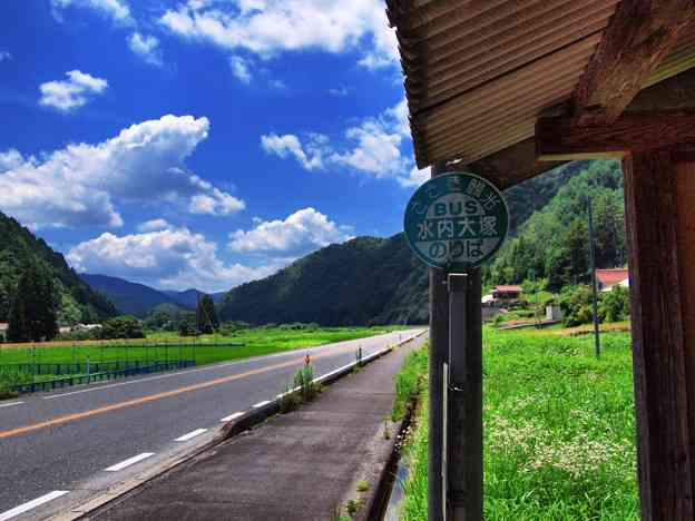 どこか切ない夏の画像を貼っていくトピpart5
