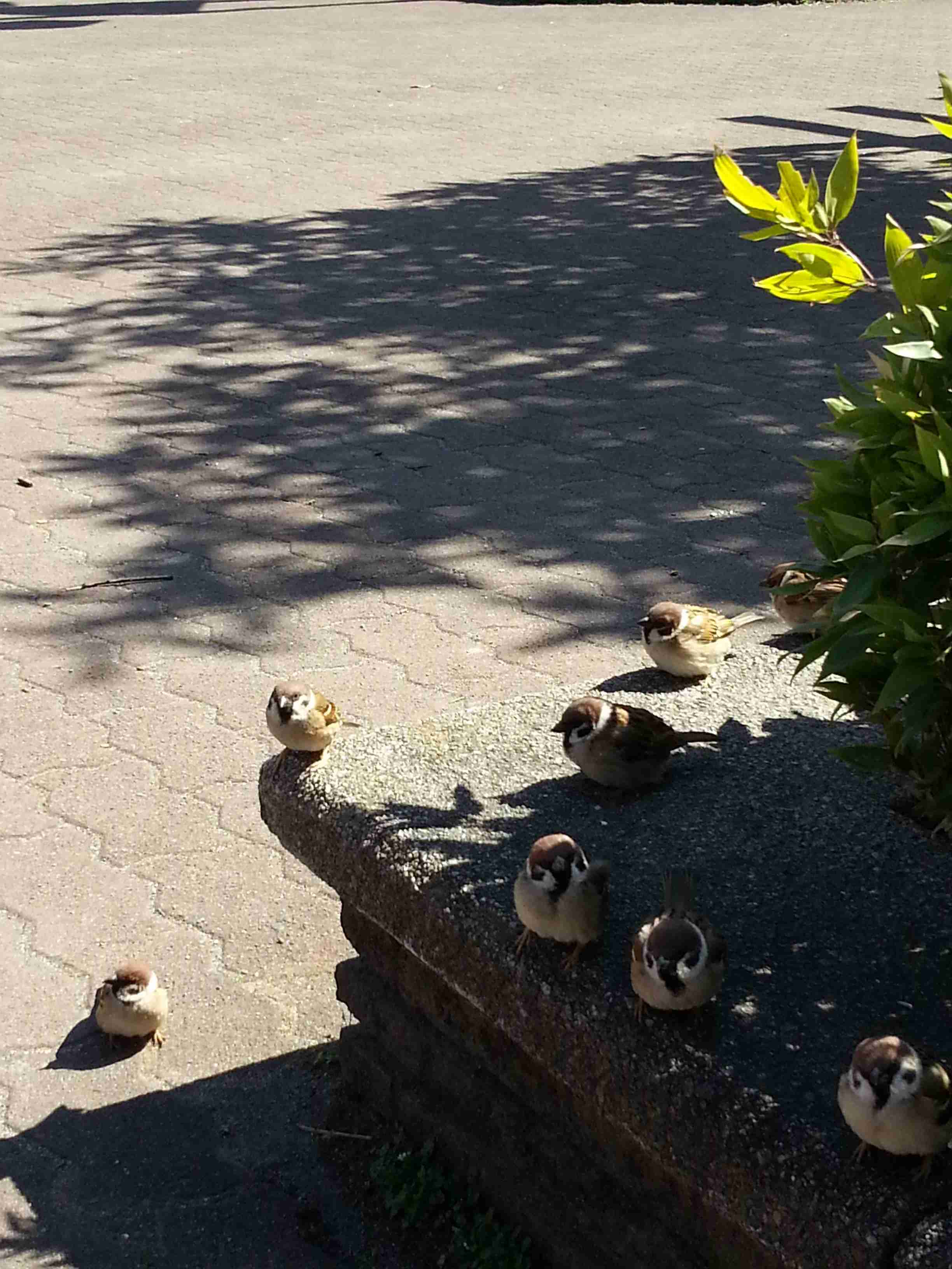 自分の身に起きた予想外の出来事