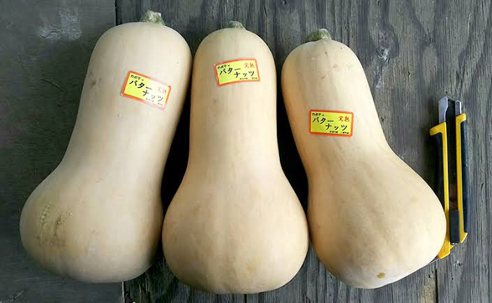 かぼちゃが好き