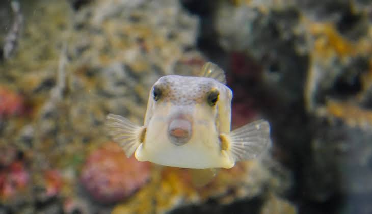 「“偽”菅田将暉！」「あのオタクは誰？」…『バイク王』CMの反響に驚き、演じた俳優の意外な素顔