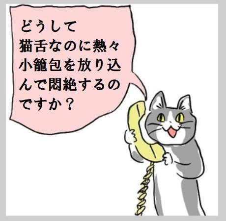 猫🐱舌あるある
