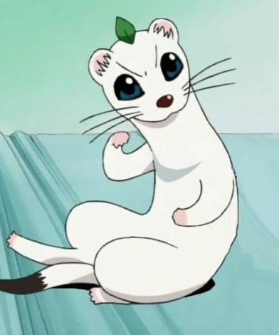 珍しいものが題材のアニメ、漫画、ドラマなど