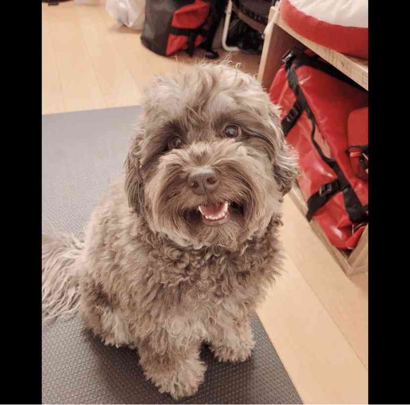 木村拓哉「スタイリングなしのボサッとヘア」な超プライベートショットに大反響、驚異の20万いいね…！