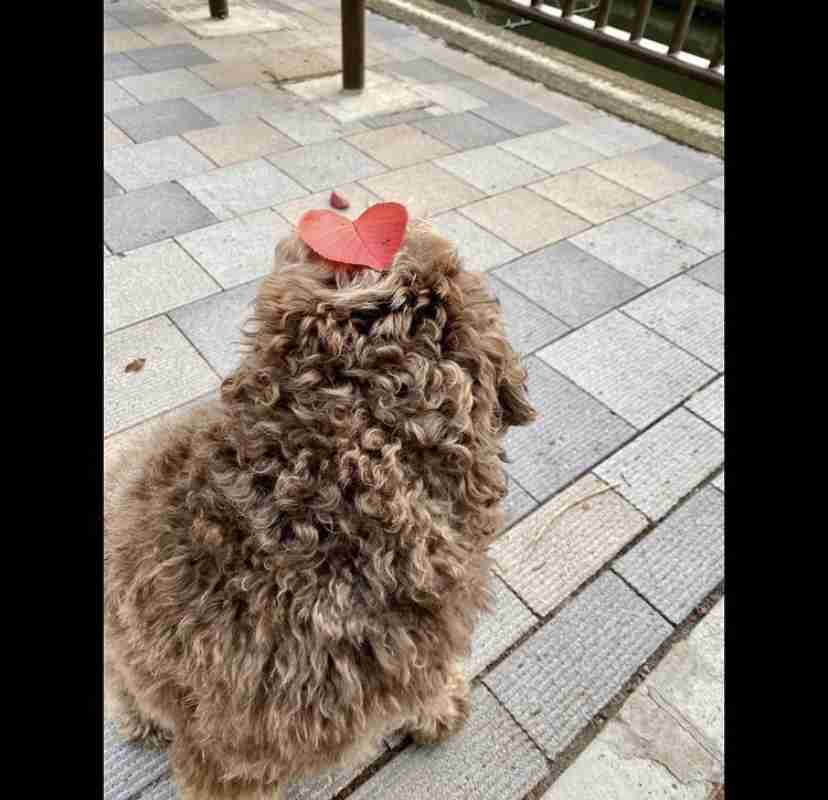 木村拓哉「スタイリングなしのボサッとヘア」な超プライベートショットに大反響、驚異の20万いいね…！