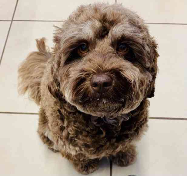 木村拓哉「スタイリングなしのボサッとヘア」な超プライベートショットに大反響、驚異の20万いいね…！