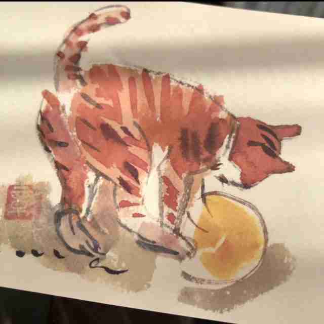 生活感溢れる写真☆part15