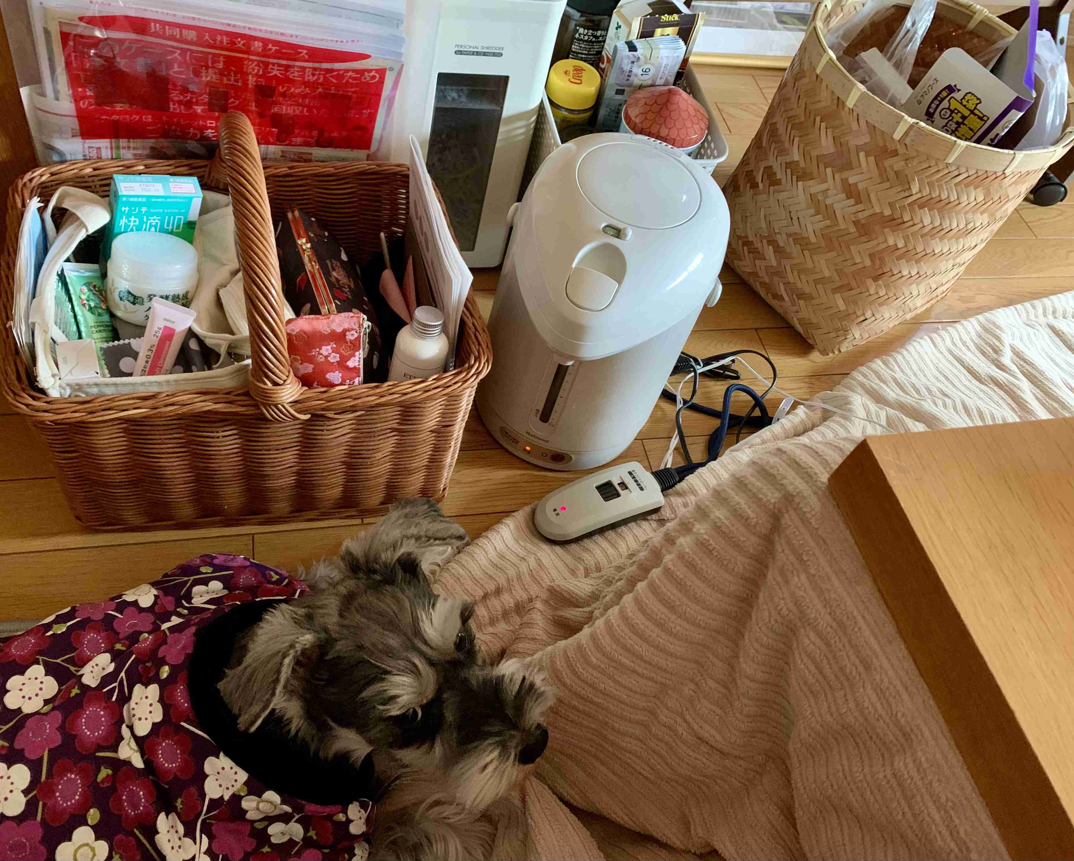生活感溢れる写真☆part15