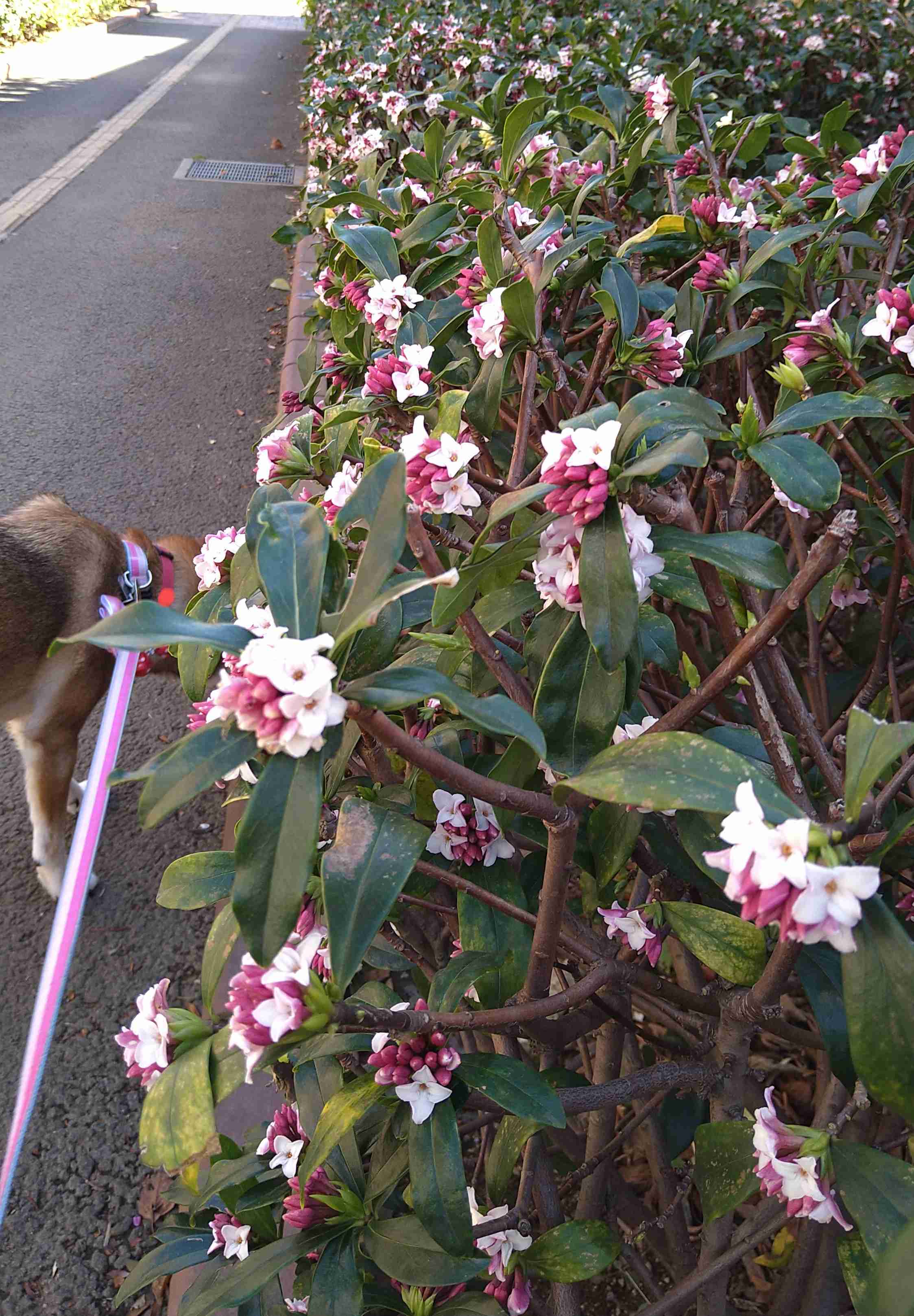 生活感溢れる写真☆part15
