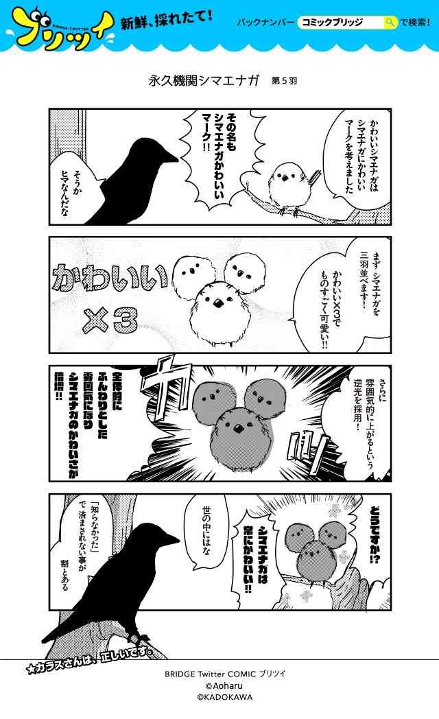 オレンジを3つ並べて「ミンナデイズニ」 伊豆のご当地Tシャツが、危ない橋を渡りすぎてる