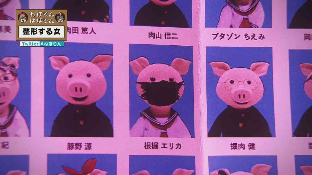 お家にあったらプラス ～ガルちゃん家宅捜査Part3～