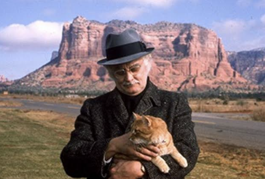 好きなコンビ【創作物】