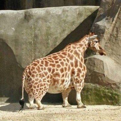 【閲覧注意かも】衝撃を受けた画像を貼るトピPart2