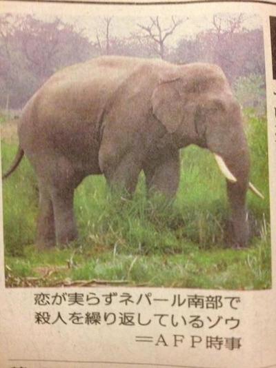 【閲覧注意かも】衝撃を受けた画像を貼るトピPart2