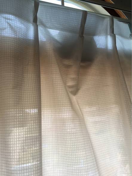 【閲覧注意かも】衝撃を受けた画像を貼るトピPart2