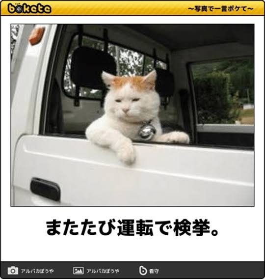 今、車の免許とるならMT？AT？