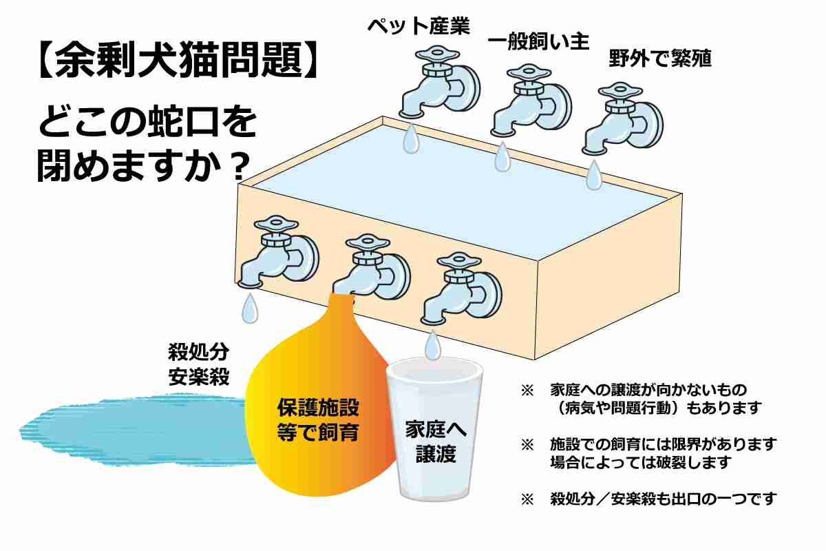 動物の保護活動をしている人【始めたい】