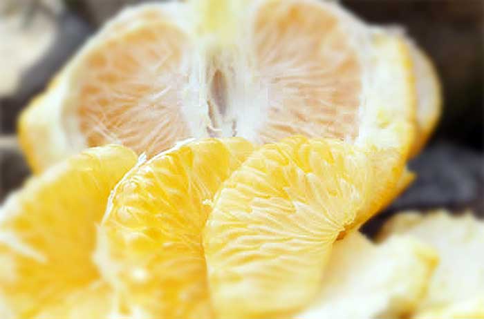 前から食べてたけど最近やたら好きだなぁと気付いた食べ物
