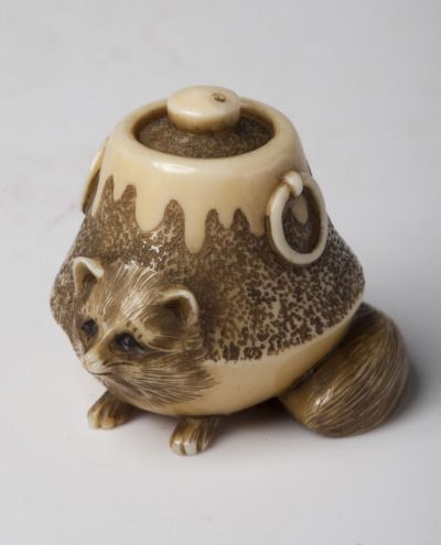 たぬき!狸!Tanuki!