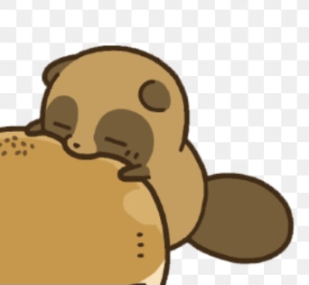 たぬき!狸!Tanuki!