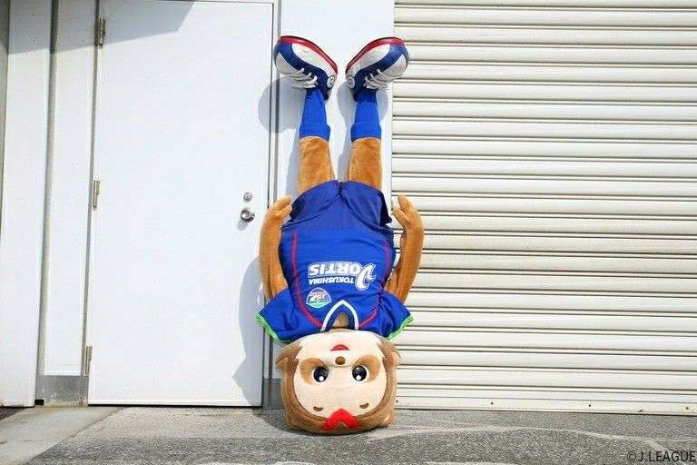 たぬき!狸!Tanuki!