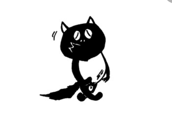 たぬき!狸!Tanuki!